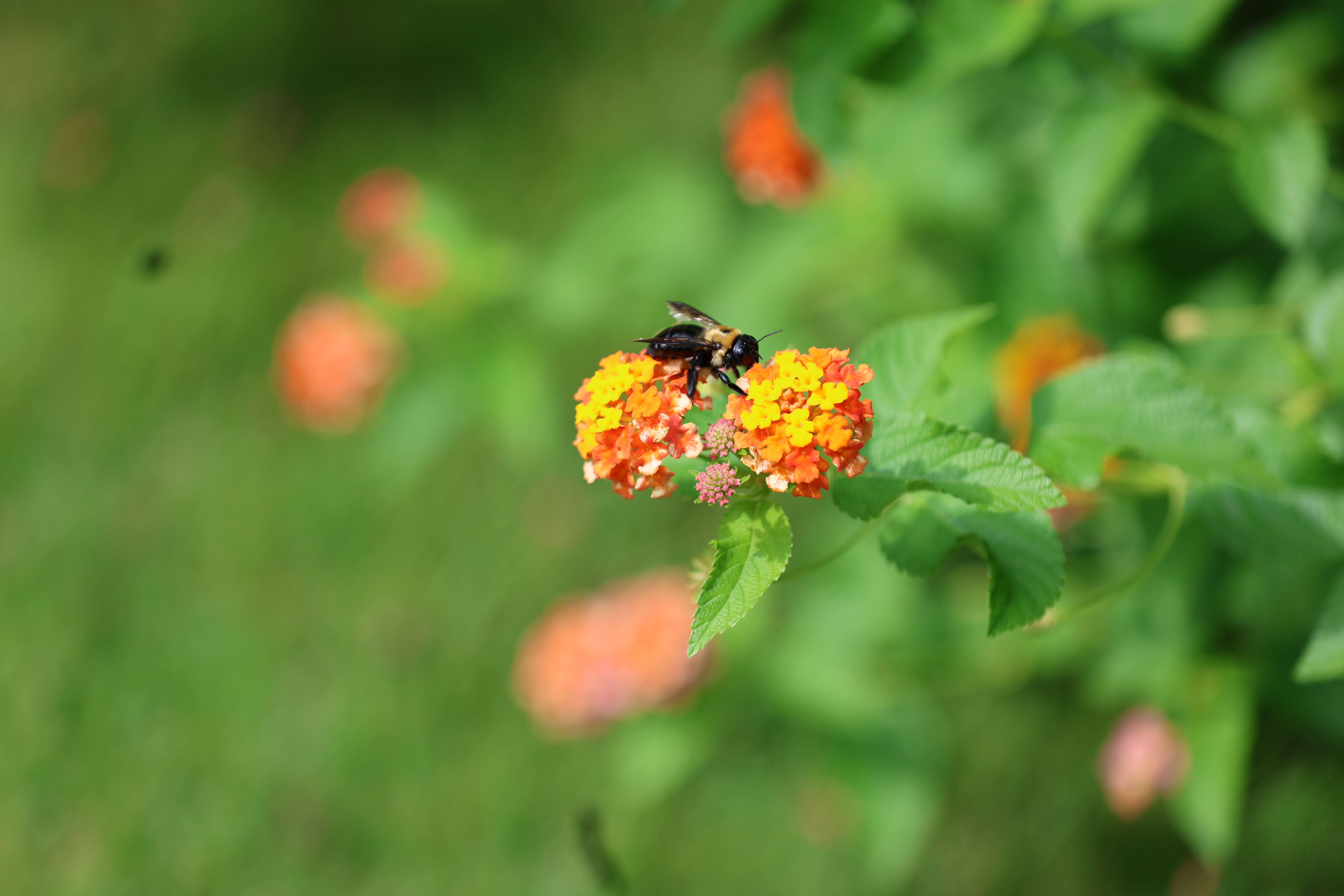 Weekend Retreat: Caring For Our Common Home