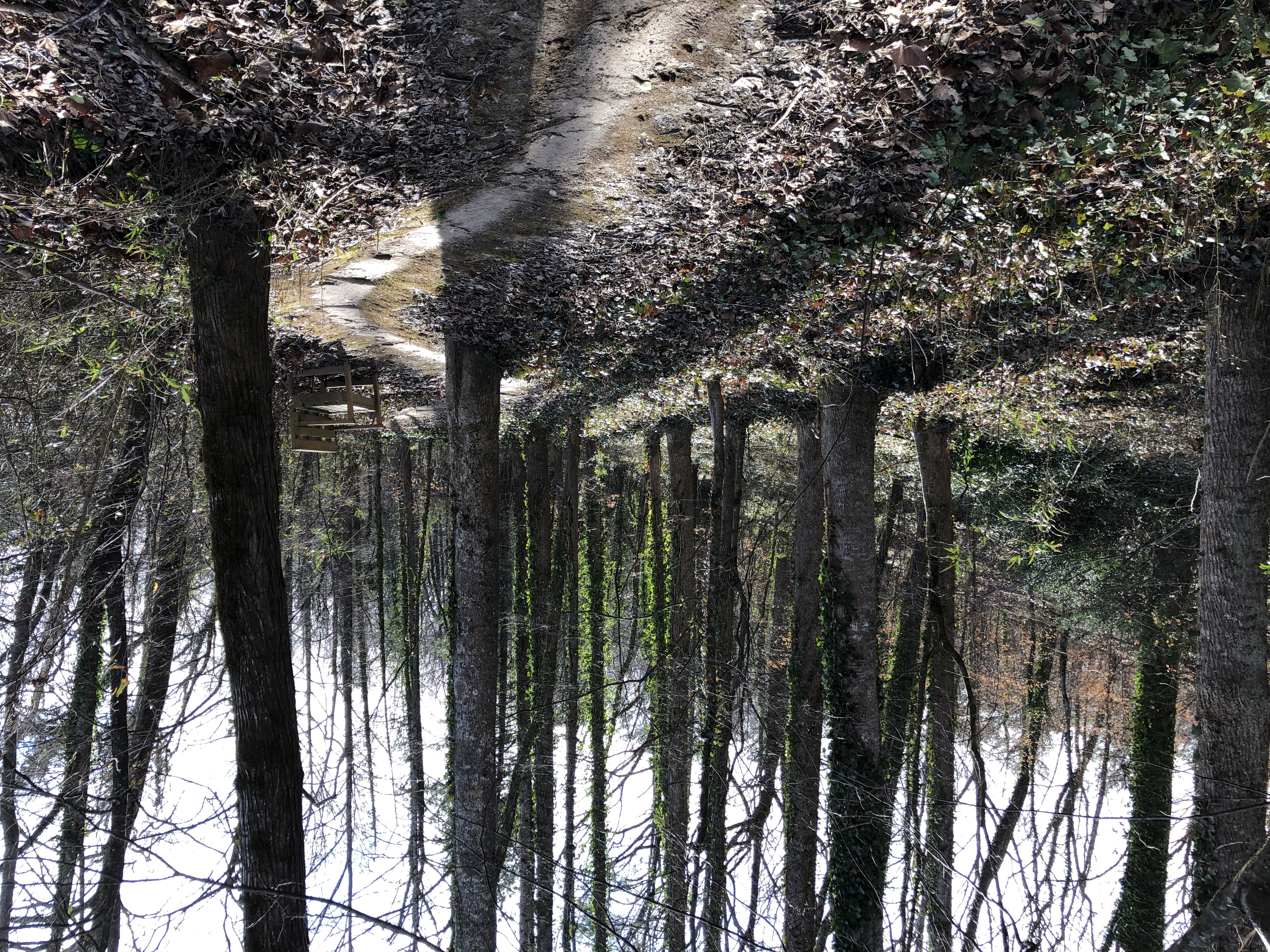 Day of Reflection: Care of Body, Care of Soul