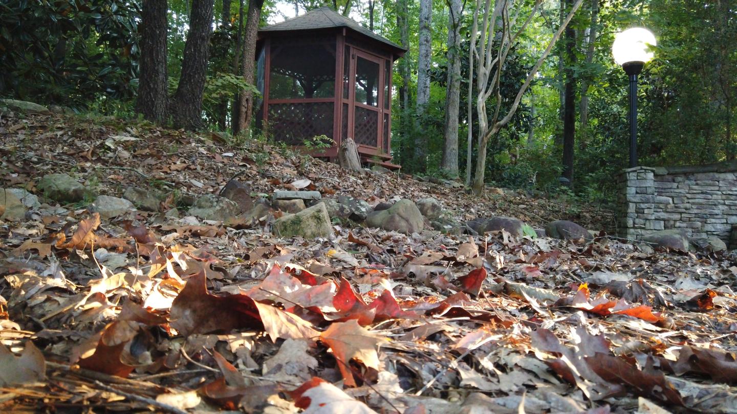 Day of Reflection: Care of Body, Care of Soul  