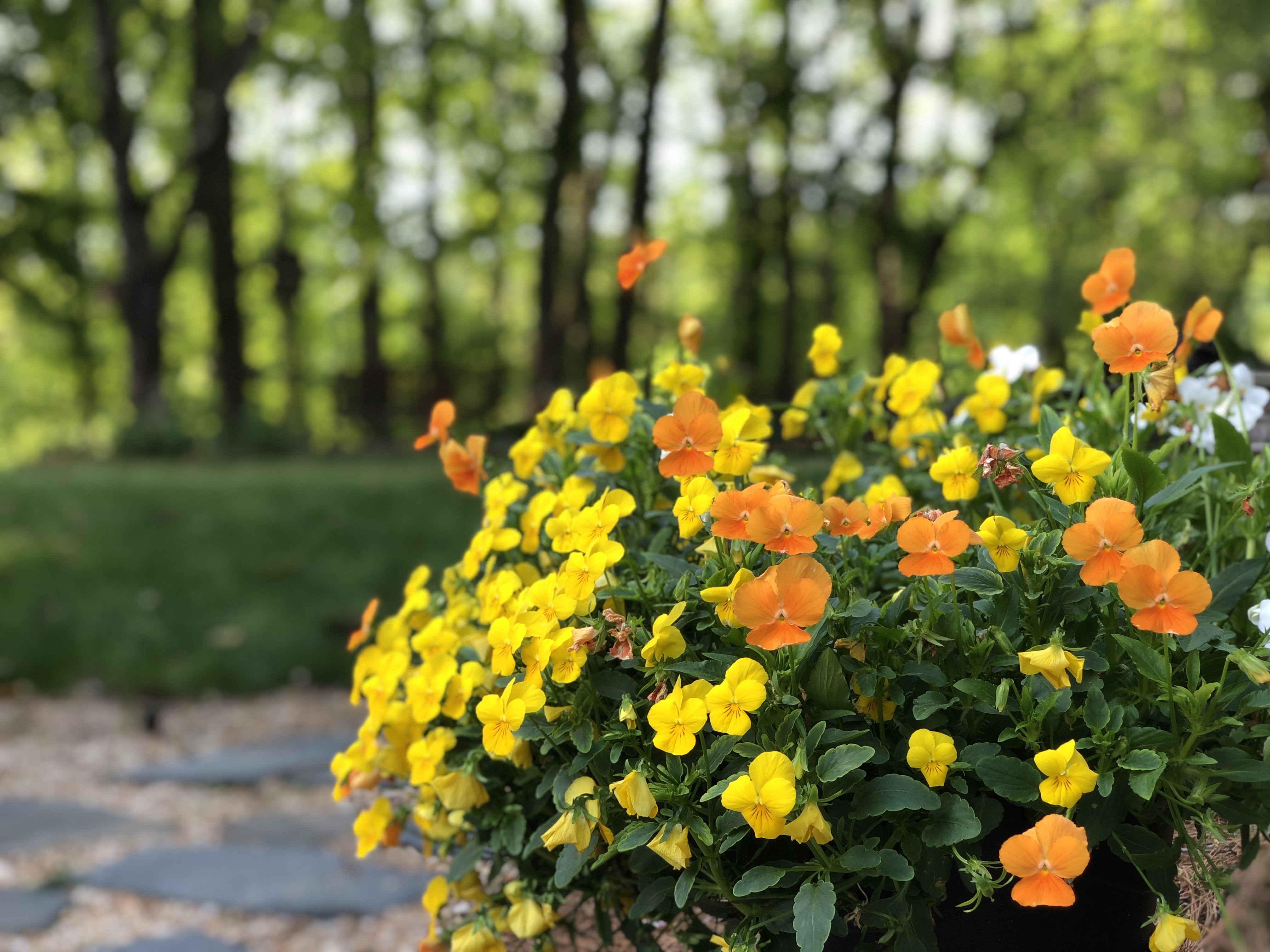 Individually Directed Retreat: Choose 3, 4 or 5 Nights