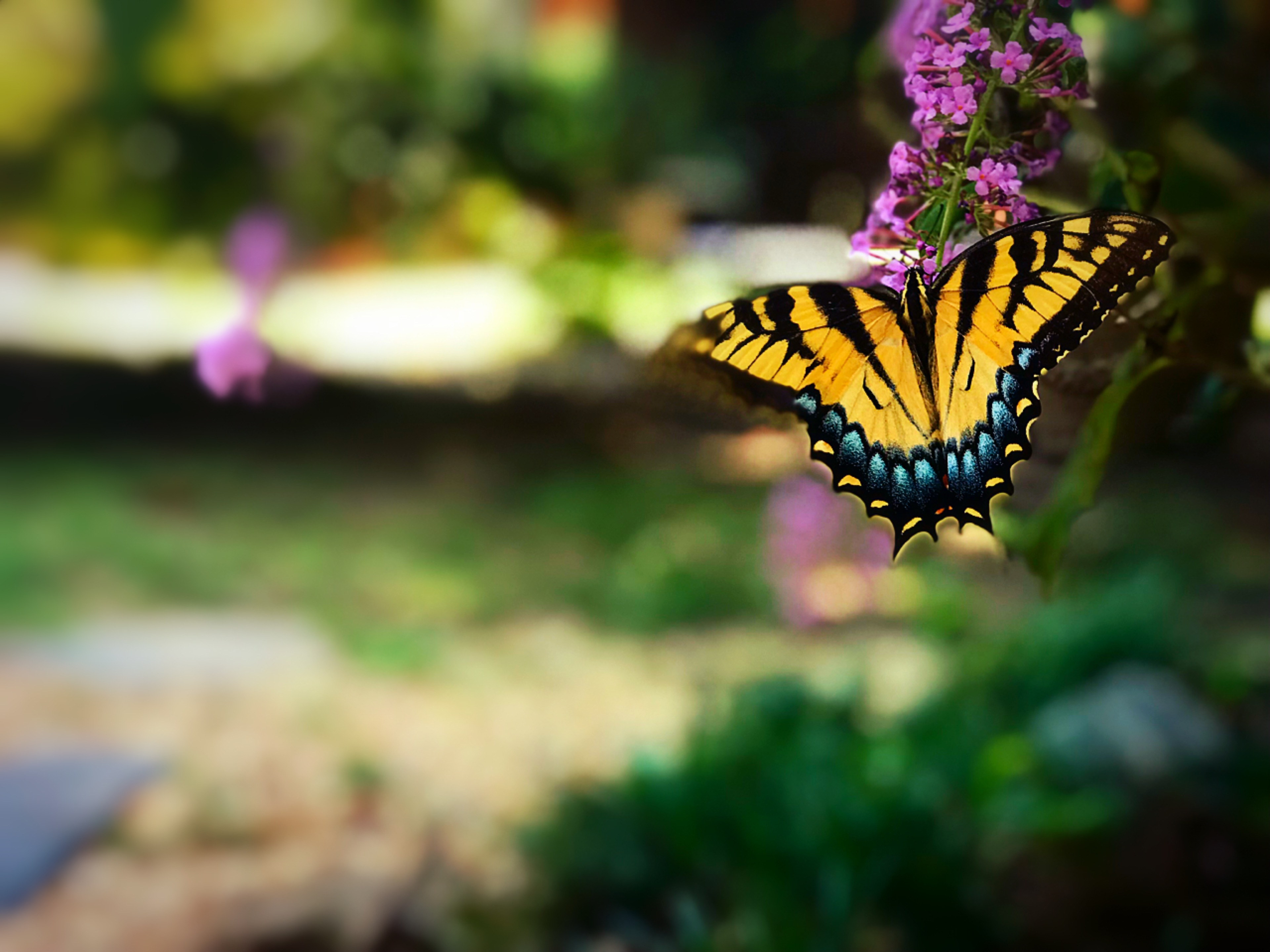 Day of Reflection for Those in a 12-Step Program