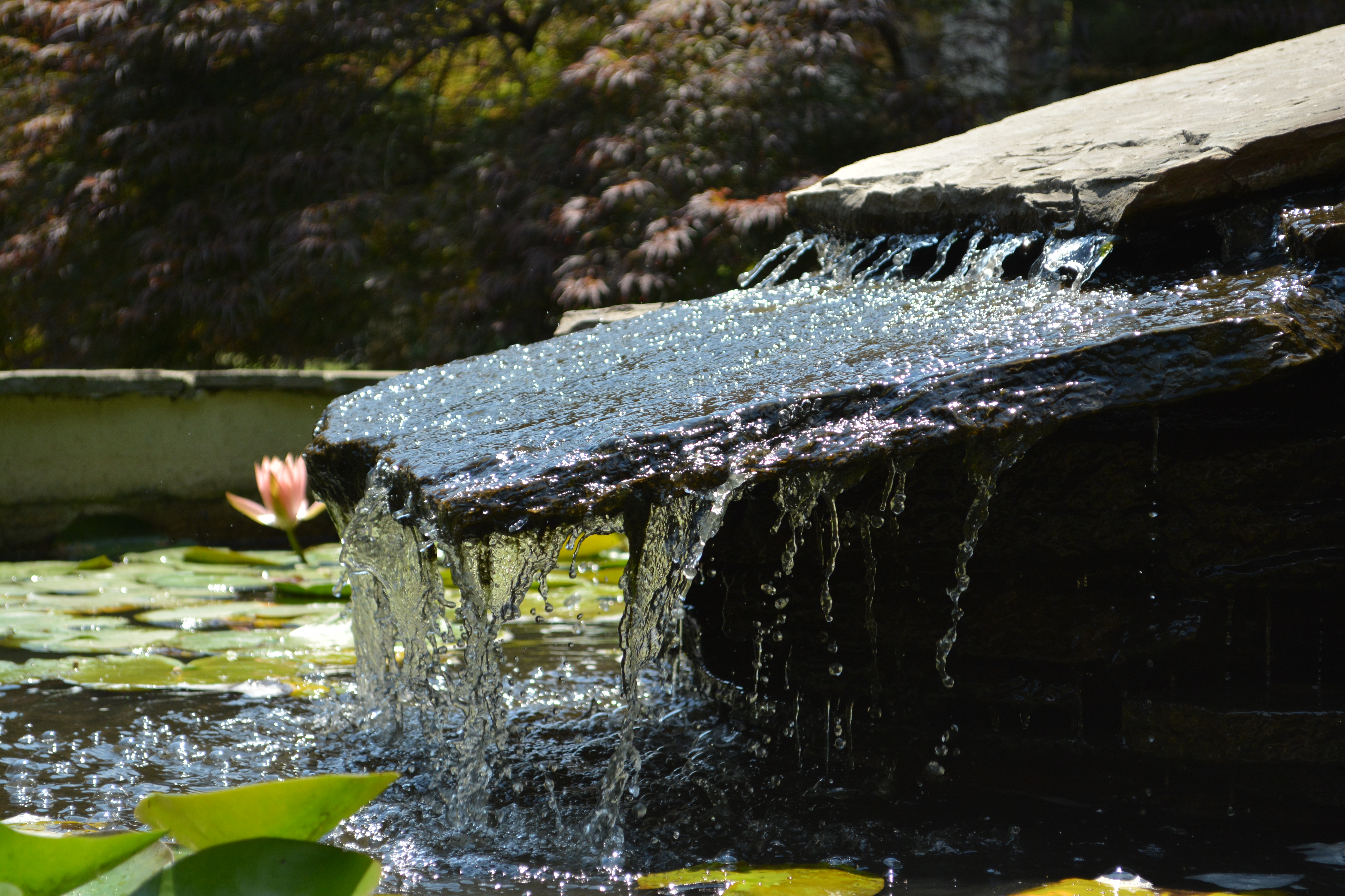 Weekend Ignatian Retreat: Becoming a Mighty Kindness
