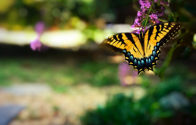 Recovery Retreat for Those in a 12-Step Program
