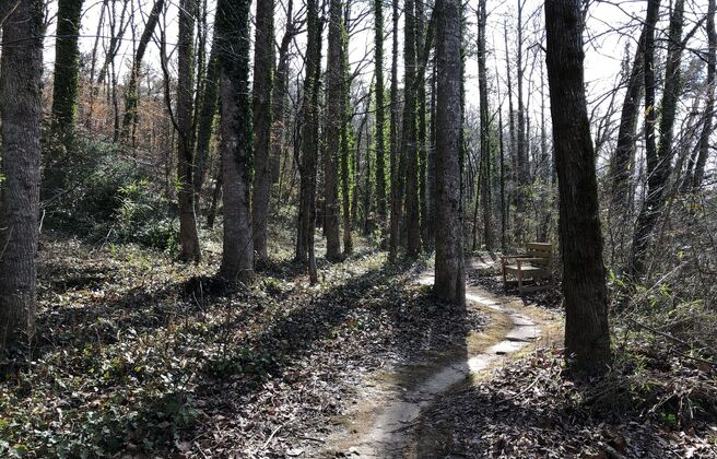 Day of Reflection: Care of Body, Care of Soul