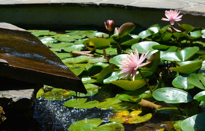 A Sacred Pause - An Invitation to Mindfully Consider Grief, Loss, and Mortality