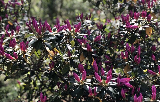 Individually Directed Retreat: Choose 3 or 5 Nights