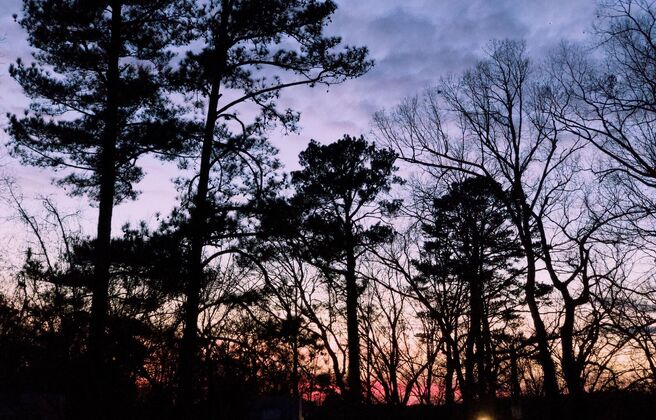 Advent Day of Reflection