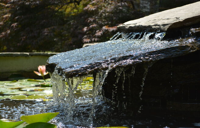 Weekend Ignatian Retreat: Becoming a Mighty Kindness