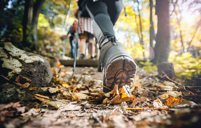 Weekend Ignatian Retreat: Science and Spirituality 